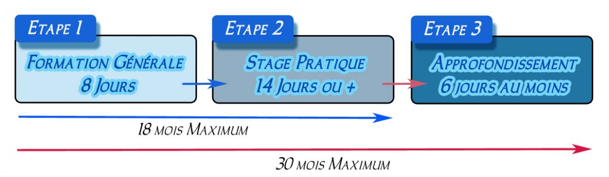 Le BAFA, Comment ça Se Passe ? – CFAG